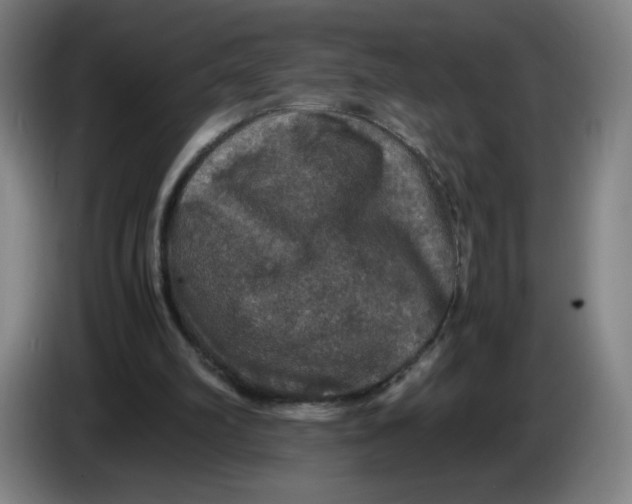 X0000085270102200703301903