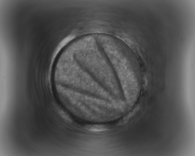 X0000085270104200703301903