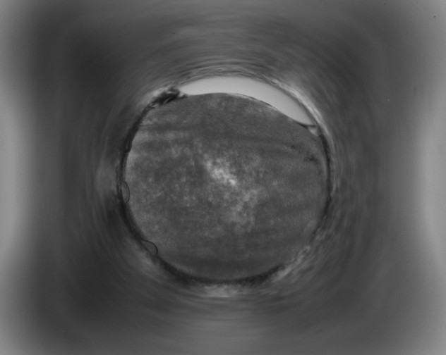 X0000085270105200703301903