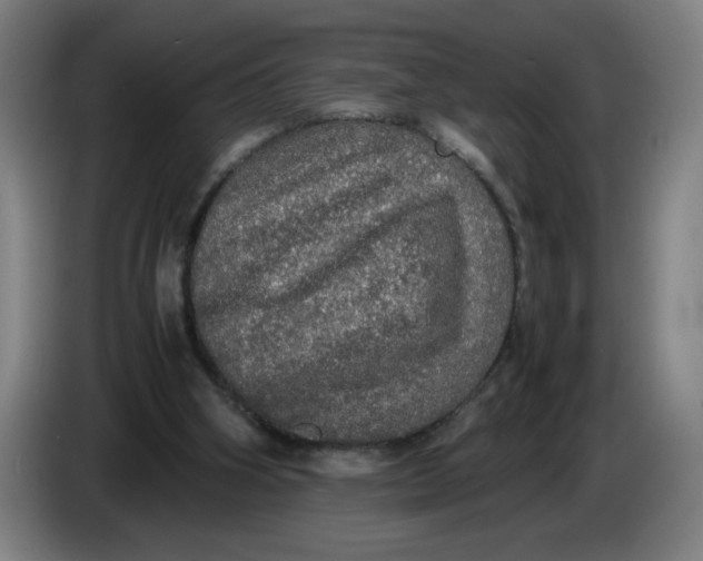 X0000085270106200703301903