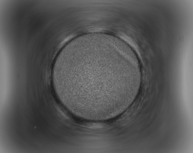 X0000085270107200703301903