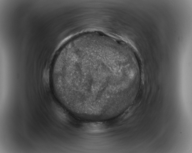 X0000085270108200703301903