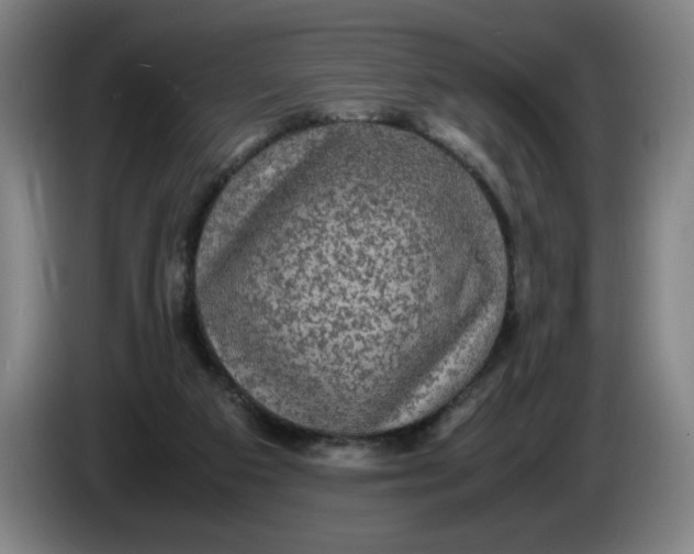 X0000085270113200703301903