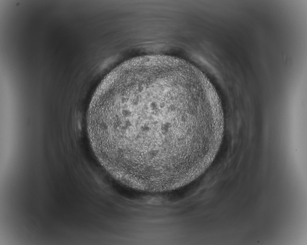 X0000085270115200703301903