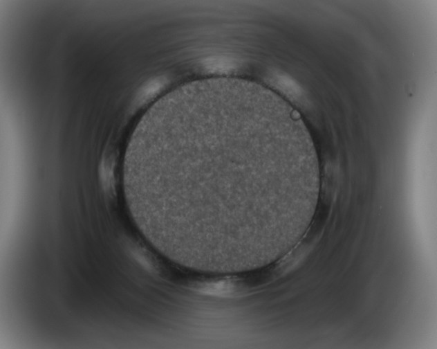 X0000085270116200703301903