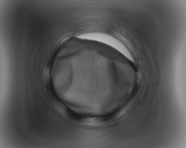 X0000085270117200703301902