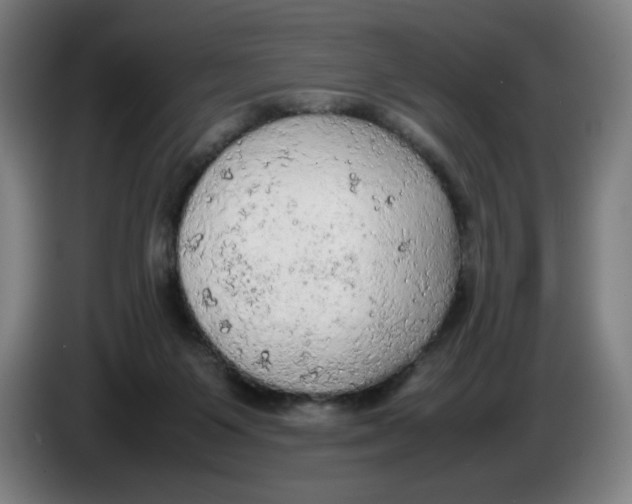 X0000085270119200703301902