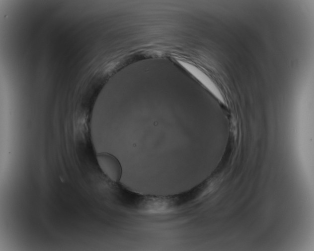 X0000085270127200703301902