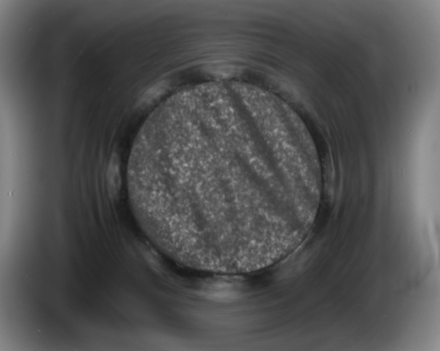 X0000085270128200703301902