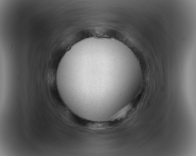 X0000085270129200703301902