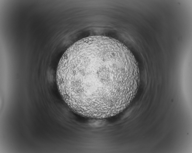 X0000085270135200703301902