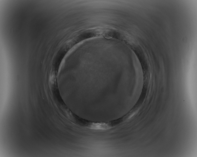 X0000085270137200703301902