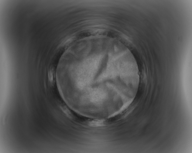 X0000085270138200703301902