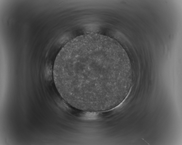 X0000085270144200703301902