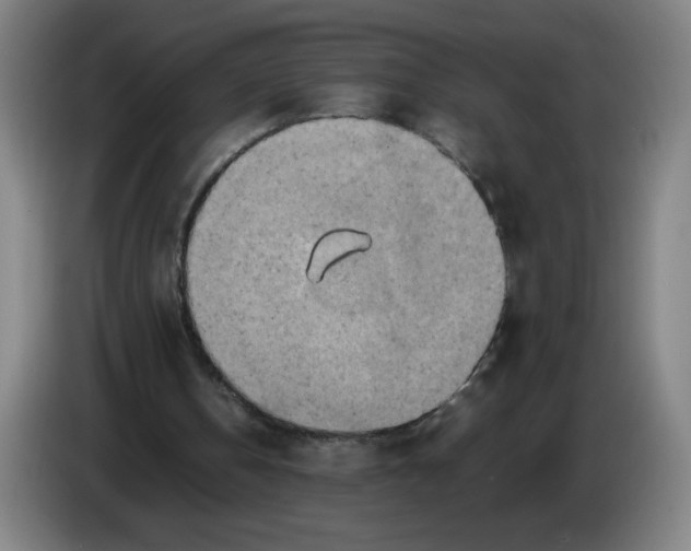 X0000085270146200703301901