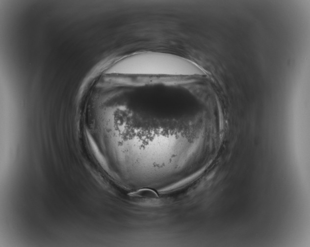 X0000085270149200703301901