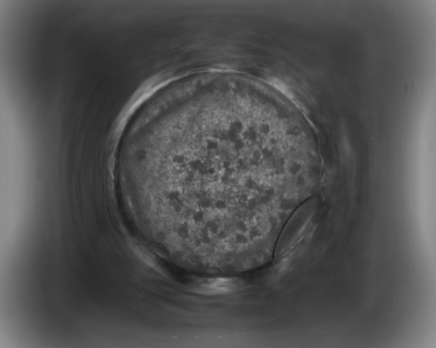 X0000085270151200703301902