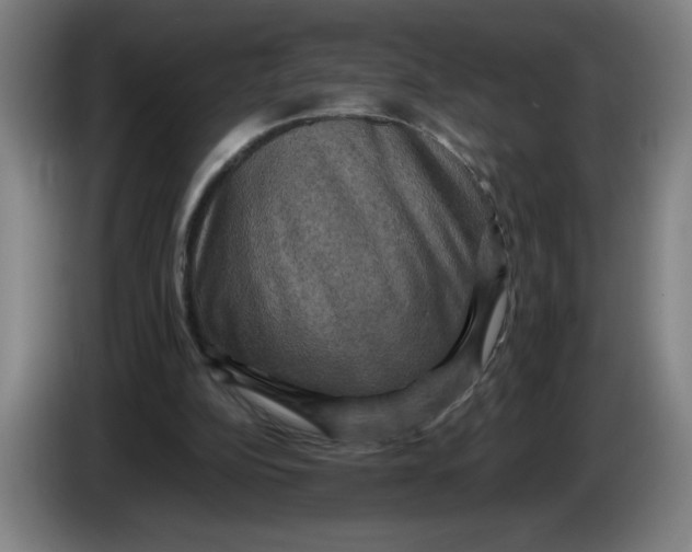 X0000085270152200703301902