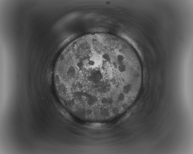 X0000085270153200703301902