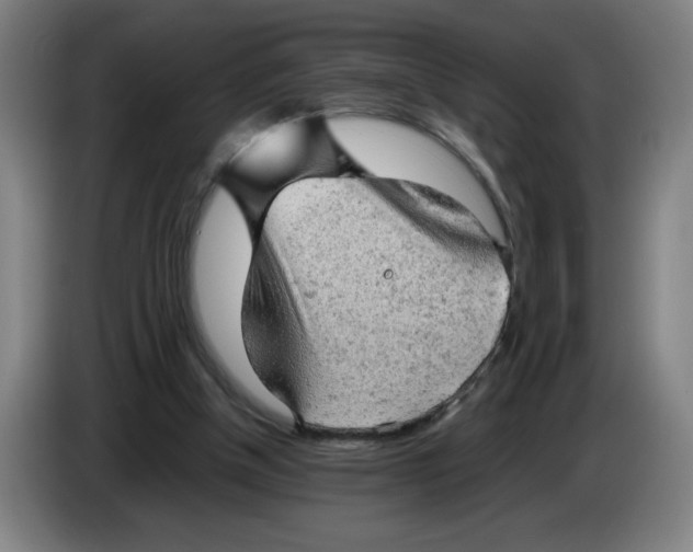 X0000085270154200703301902