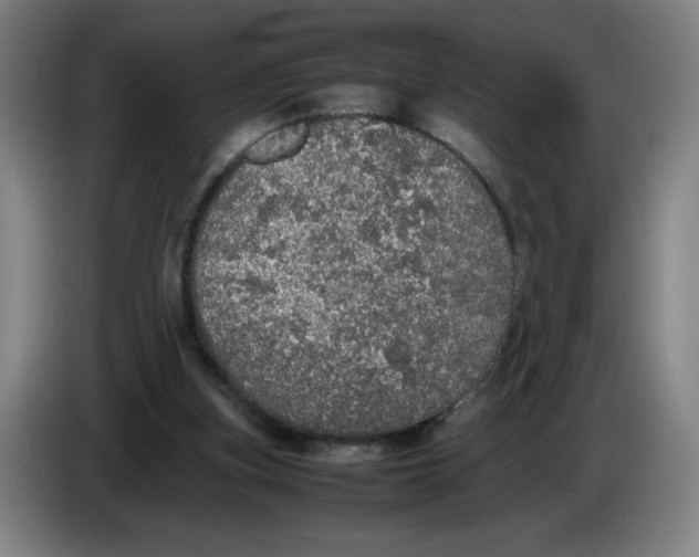 X0000085270155200703301902