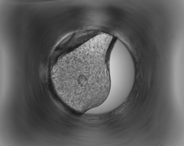 X0000085270156200703301902