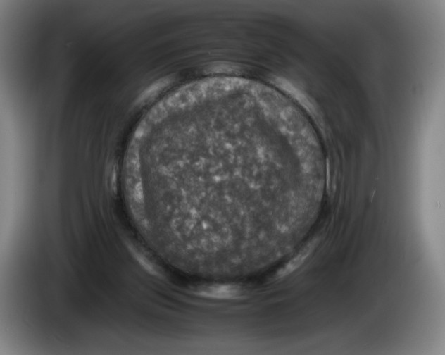 X0000085270157200703301902