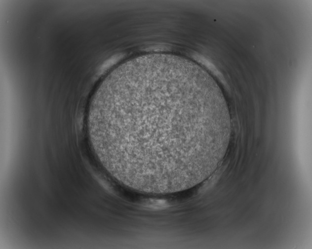 X0000085270159200703301902