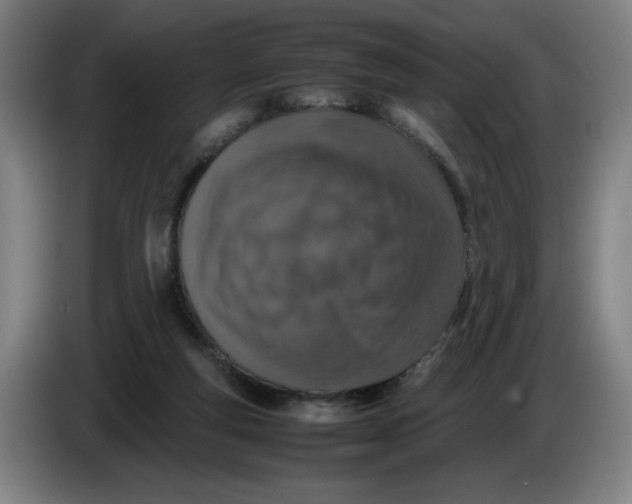 X0000085270163200703301902