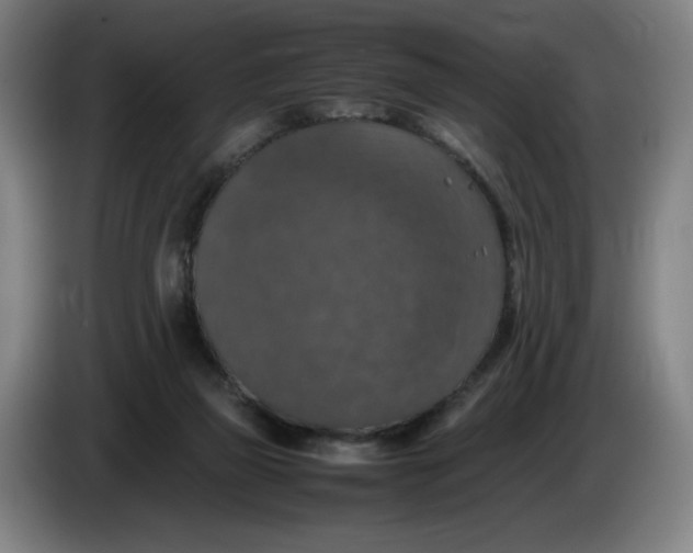 X0000085270165200703301902