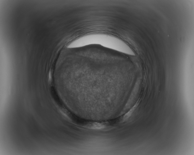 X0000085270166200703301902