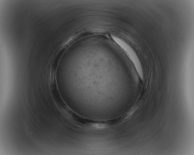 X0000085270168200703301902