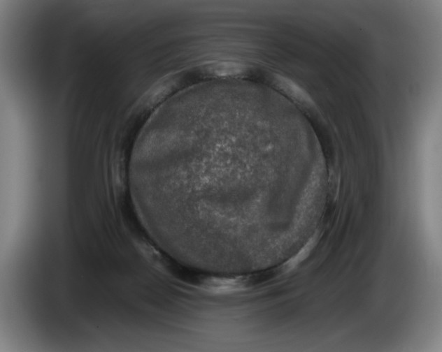 X0000085270170200703301902