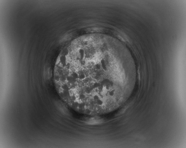 X0000085270173200703301902