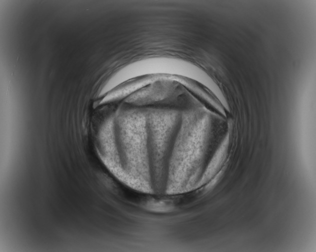 X0000085270174200703301902