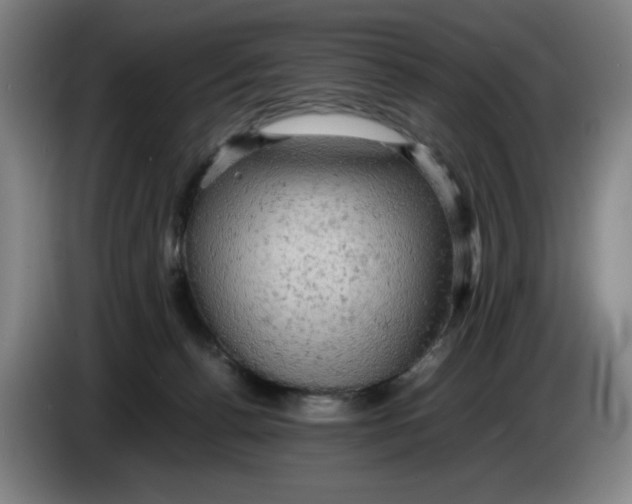 X0000085270176200703301902