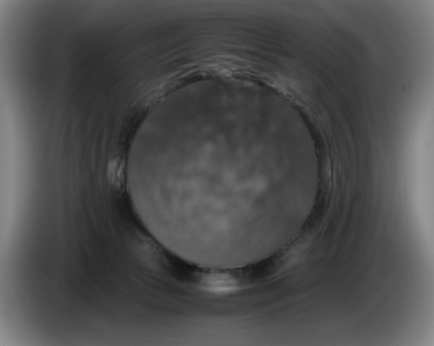 X0000085270177200703301902