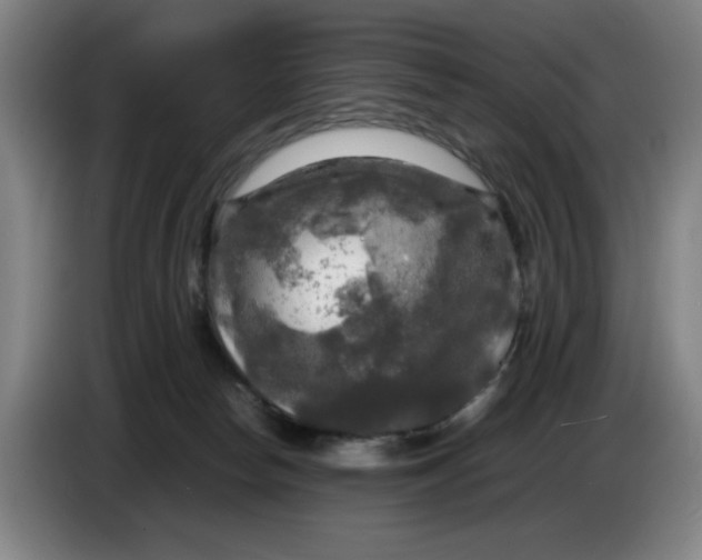 X0000085270178200703301902