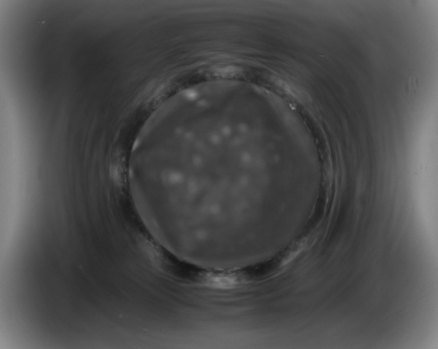 X0000085270181200703301902