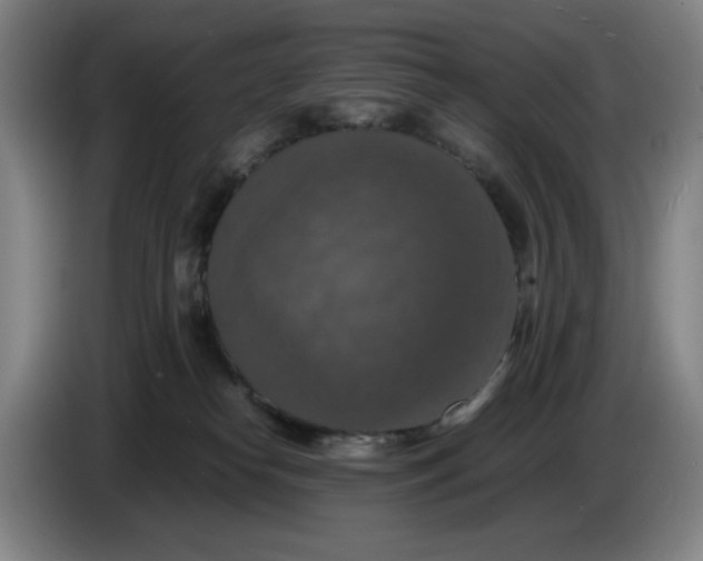 X0000085270182200703301902