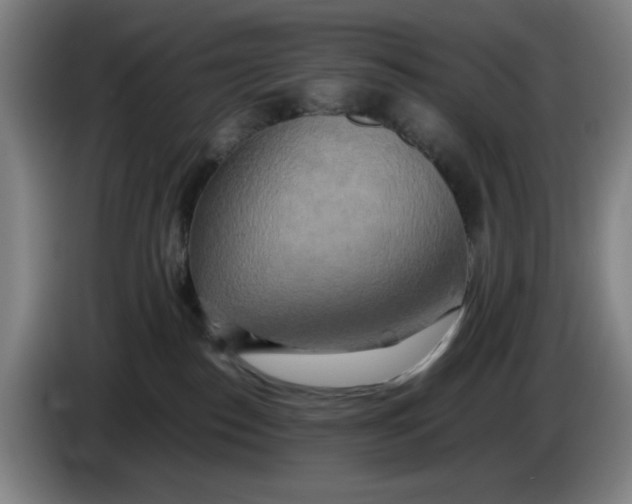 X0000085270186200703301902