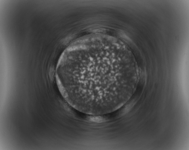 X0000085270189200703301902