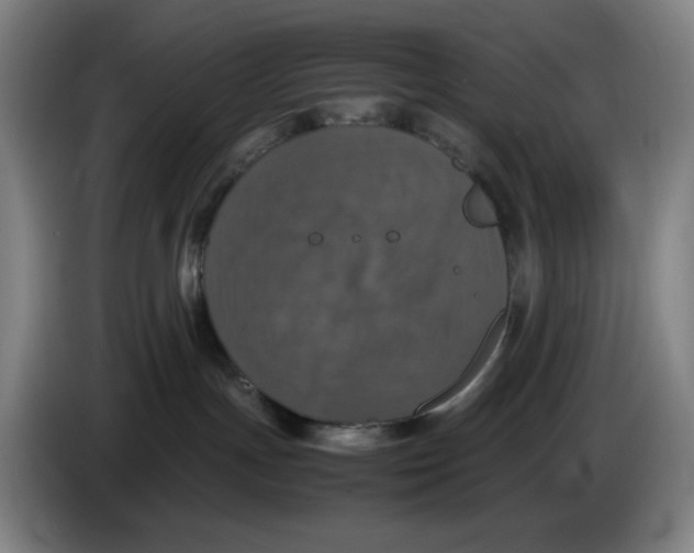 X0000085270191200703301902