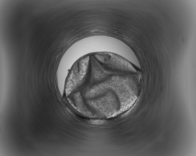 X0000085270192200703301902