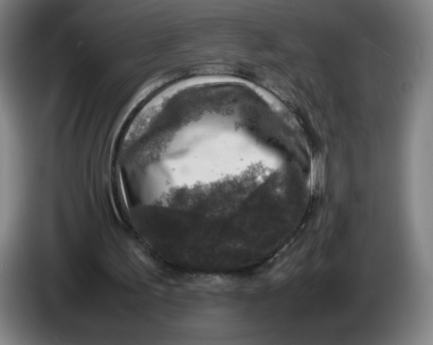 X0000085270195200703301901