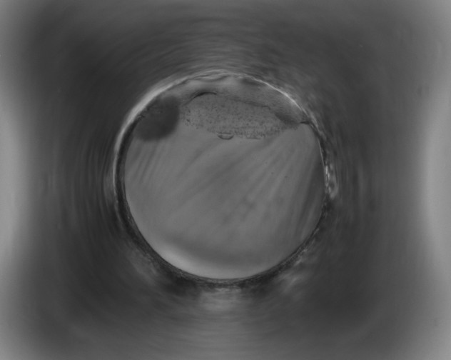 X0000085270196200703301901