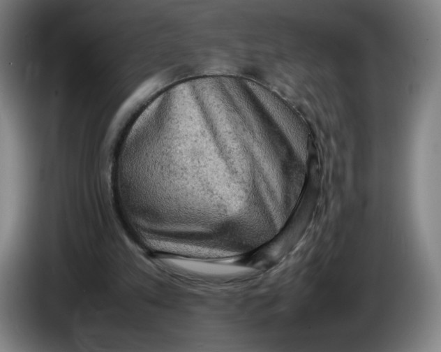 X0000085270197200703301901