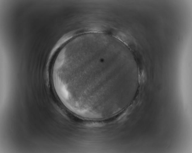 X0000085270198200703301901