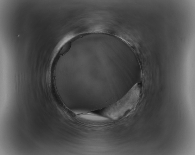 X0000085270200200703301901