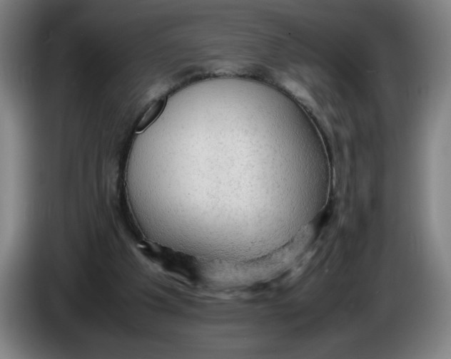 X0000085270201200703301901